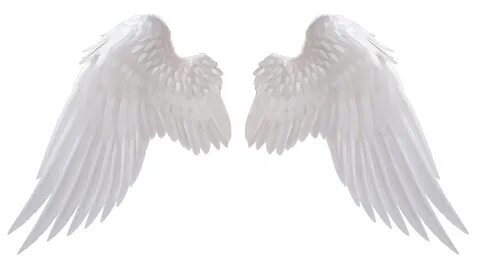 Angel Wings Angel wings png, Wings png, Wings