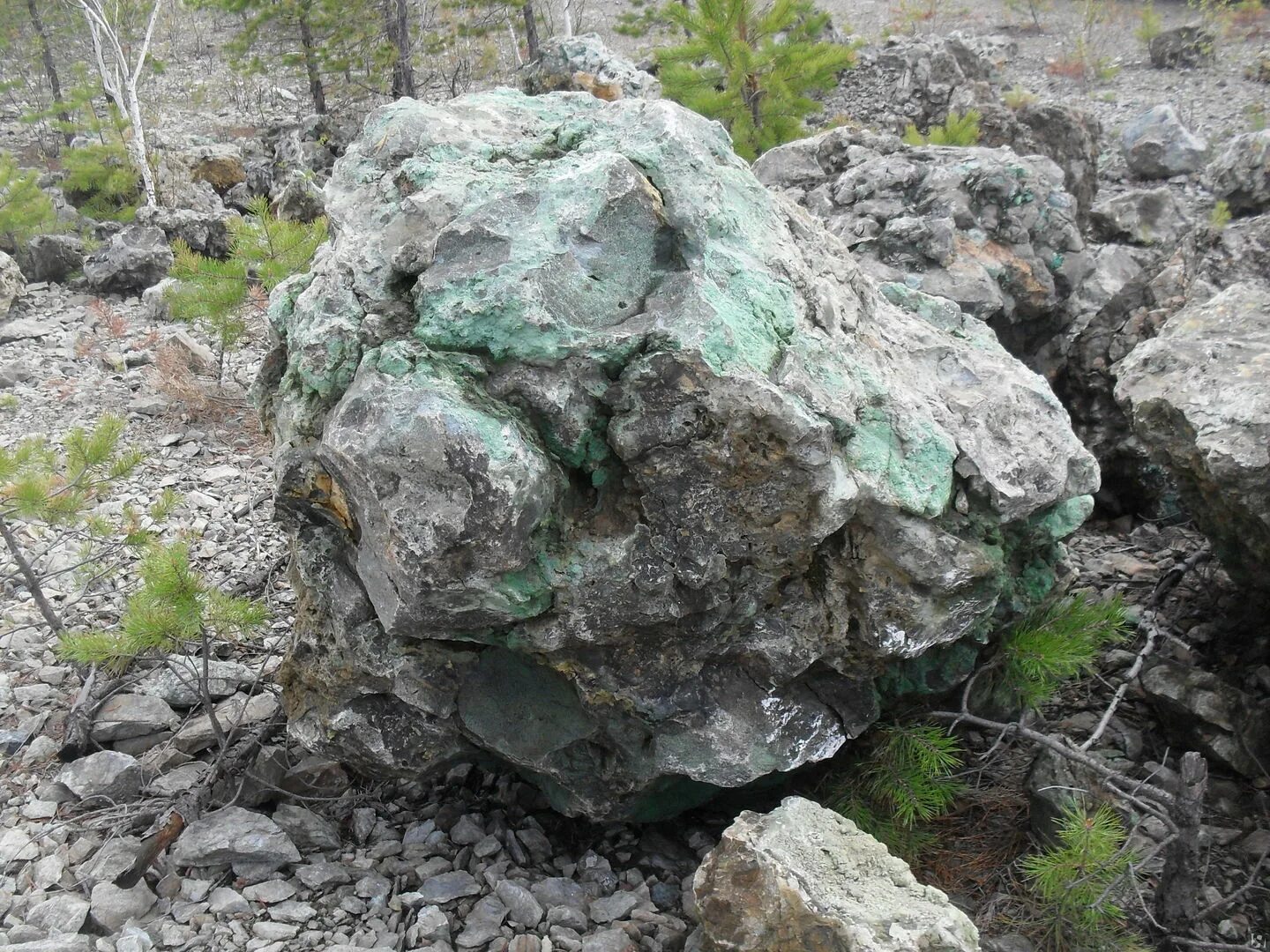 Камни ооо. Мрамор мармур. Брусчатка из златолита галтованная. Мрамор ярко-белый галтованный. Особый камень.
