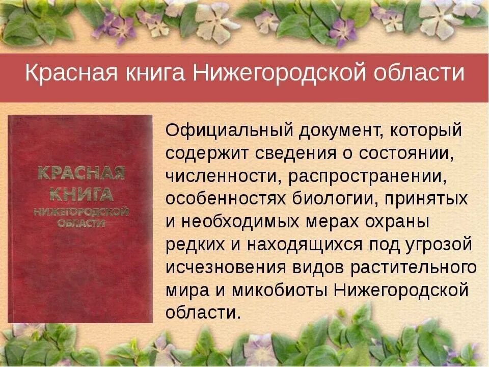 Башмачок крупноцветковый красная книга нижегородской области. Редкие животные и растения из красной книги нижегородской области. Красная книга нижегородского края. Красная книга нижегородской области проект. Растения красной книги нижегородской области.