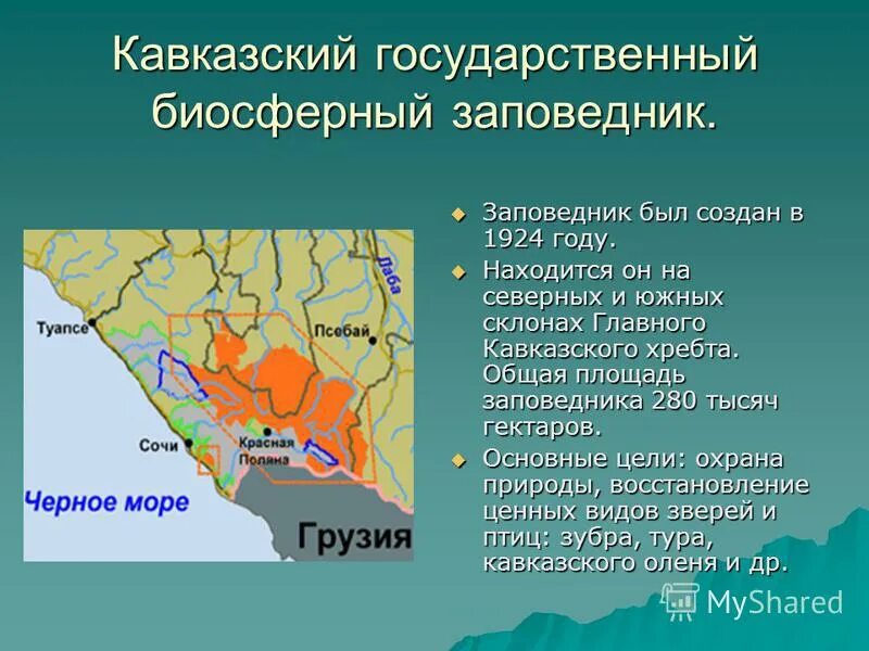 кавказский биосферный заповедник сообщение. географическое расположение кавказского заповедника. кавказский заповедник расположение. кавказский заповедник рассказ. кавказский биосферный заповедник сообщение.