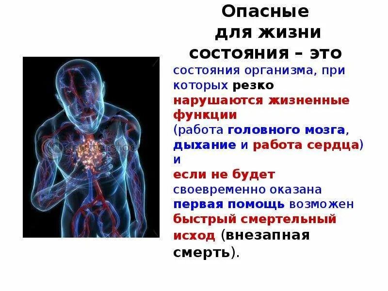 Жизненно важные функции организма. Жизненные функции. Витальные функции. Нарушение жизненных функций организма..