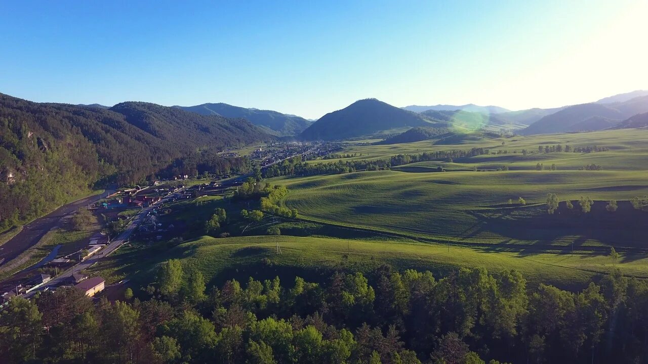 Камлак горный алтай. Ботанический сад горный алтай камлак. Камлак горный алтай. Село камлак. Камлак горный алтай.