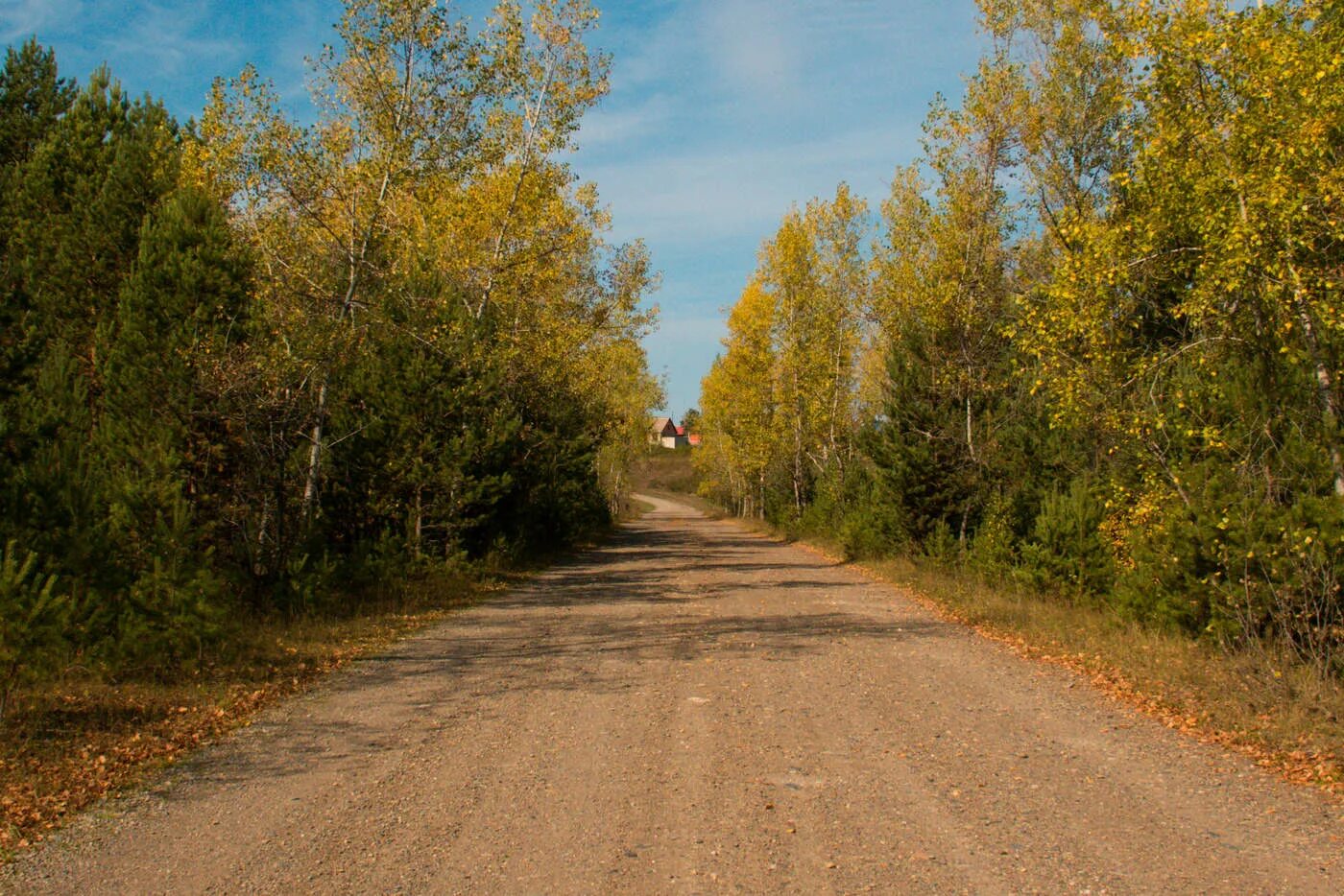 Осень Россия дорога деревня. Щебенка в деревне осень. Осень дорога в деревне