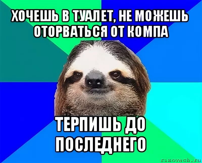 Терпит в туалет до последнего. Я хочу в туалет. когда хочешь в туалет. я очень хочу в туалет. терпит в туалет.