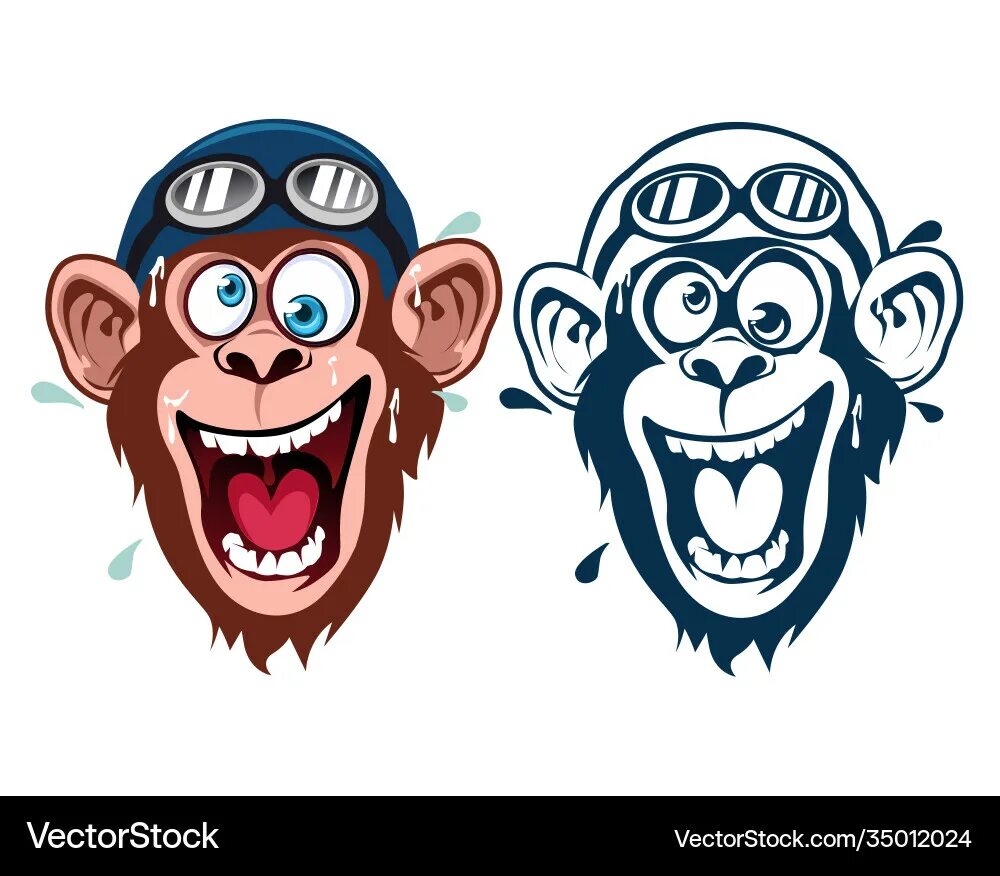Chimp crazy