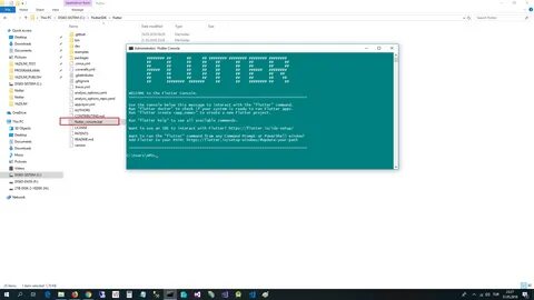 Flutter path