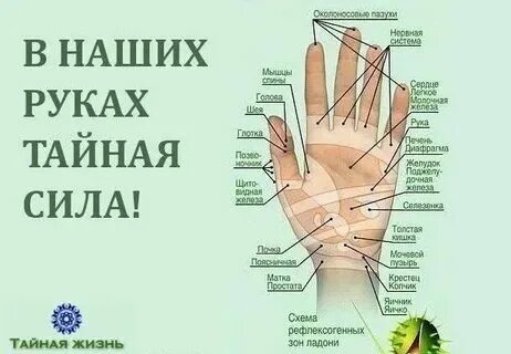 Психосоматика иллюстрации. Психосоматика. Консультация психосоматолога. Психосоматика руки. Психосоматика личности.