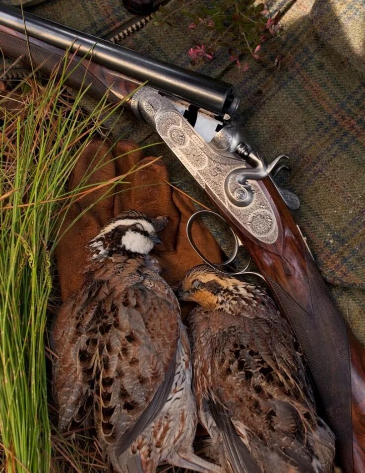 Охотник с ружьем. Охотничьи ружья на охоте. Красивые охотничьи ружья. Ружья для охоты.