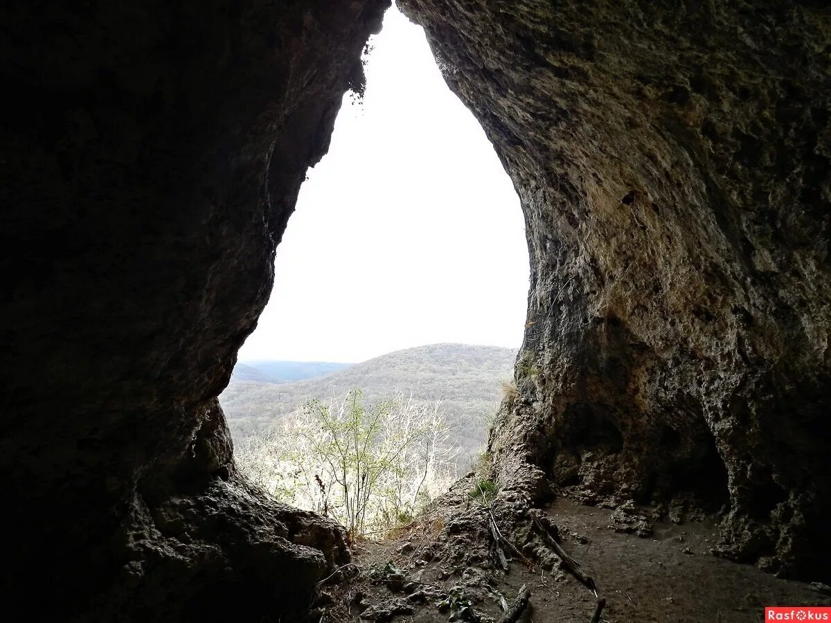 Пещера киик-коба в крыму. Пещера киик-коба в крыму. Фатьма коба пещера. Пещера киик-коба в крыму. Киик коба стоянка древнего человека.
