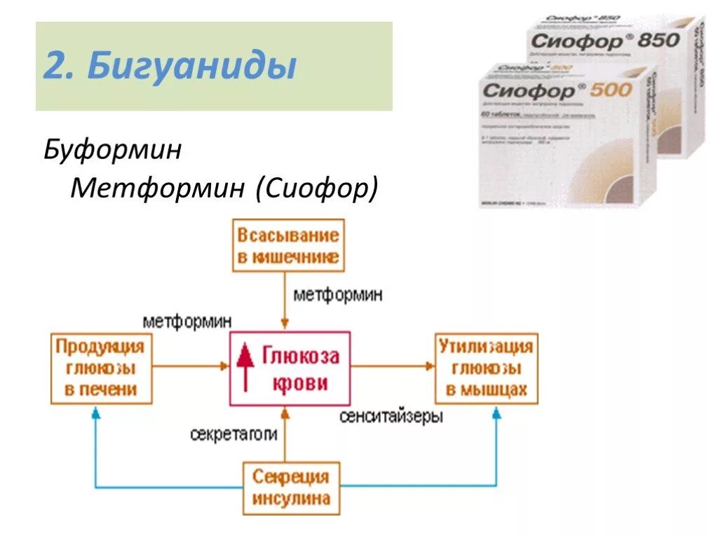 Механизм действия бигуанидов. Бигуаниды. Бигуаниды препараты. Бигуаниды препараты при сахарном диабете.