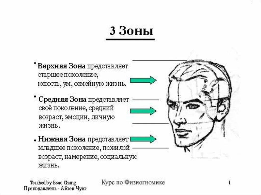 Как прочитать человека. Физиогномика как читать человека по лицу. три зоны лица физиогномика. физиогномика черты лица и характер. черты лица человека.