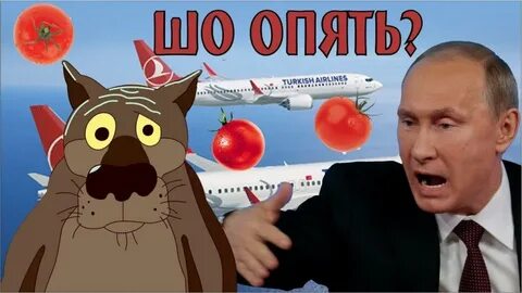 Опять 24