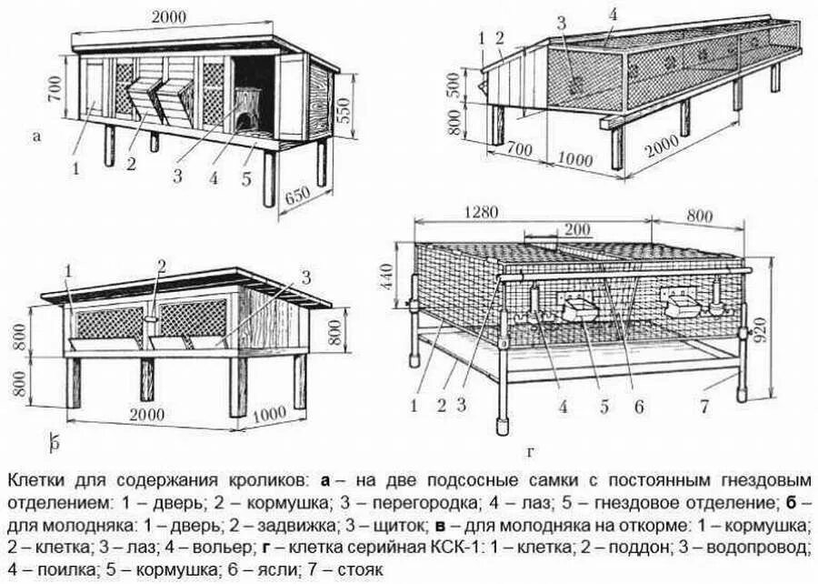 Схема клетки для кроликов с маточником. Размеры клетки для кроликов с маточником чертежи. Клетки для кроликов своими руками все Размеры и чертежи. Клетка для крольчихи с крольчатами чертёж. Фото чертежей клеток для кроликов