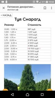 Питомник экоплант каталог с ценами москва
