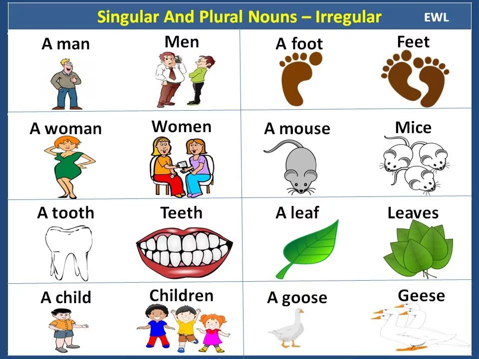 Foot mouse child man. Plural Nouns English исключения. Plural and singular Nouns в английском языке. Plurals исключения. Irregular plurals в английском языке.