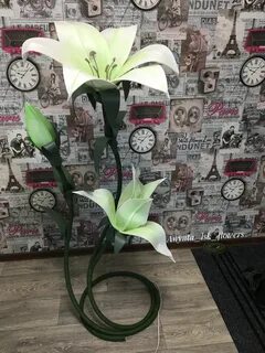 Пола лилия