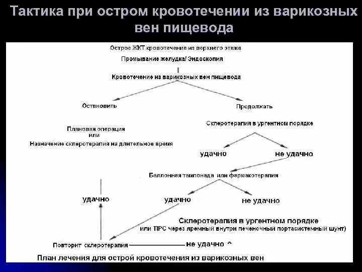 Остановка кровотечения из расширенных вен пищевода. Объём помощи при кровотечении из варикозно-расширенных вен пищевода. Тактика при кровотечении из варикозно расширенных вен пищевода. Диф диагноз кровотечения из варикозно расширенных вен пищевода. Кровотечение из варикозно расширенных вен пищевода диагностика.