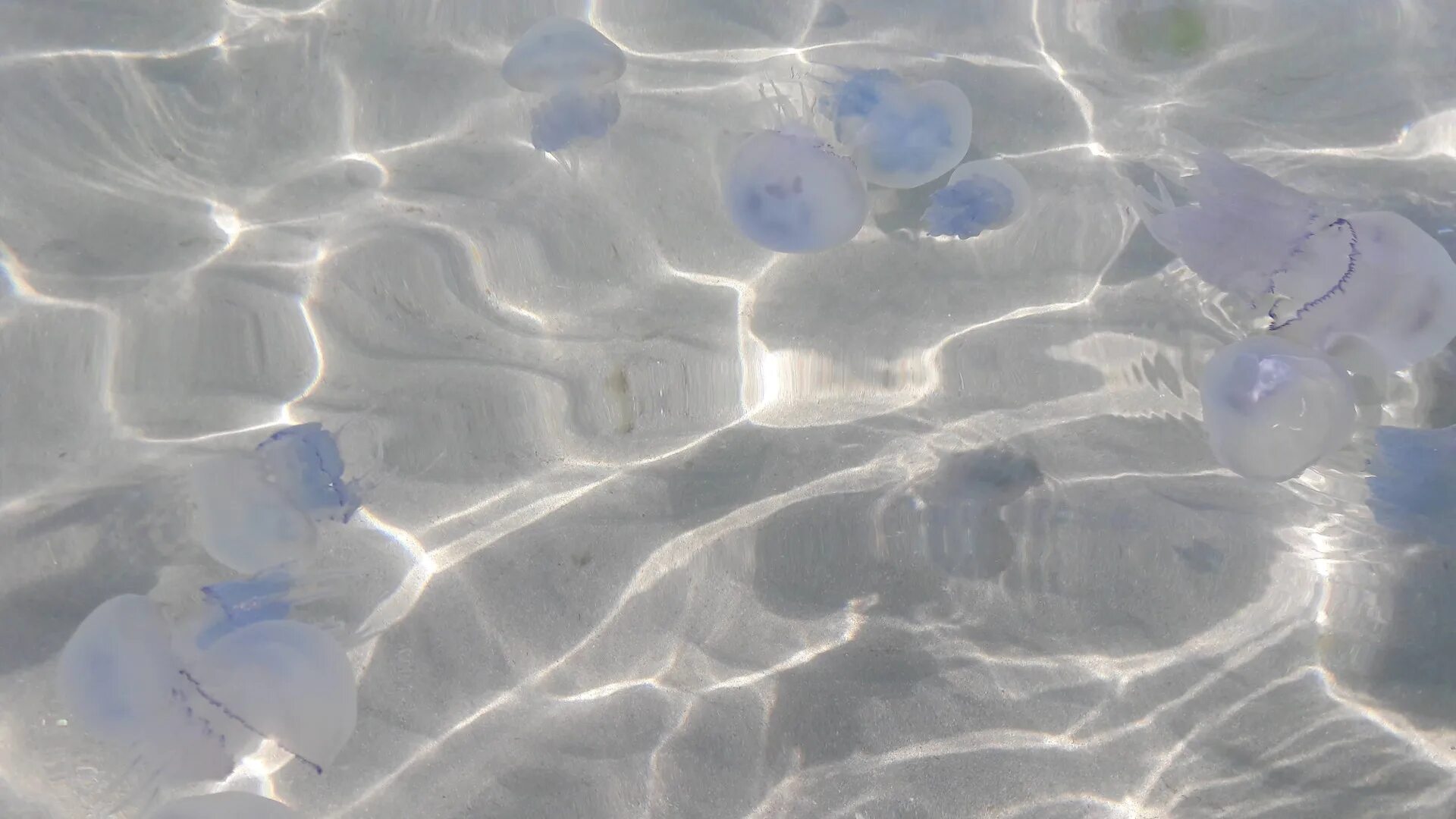 Кристальное море. Прозрачное море. Прозрачное море Кристальное. Прозрачное море Эстетика. Чистое прозрачное море Эстетика.