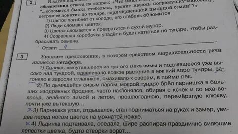 Выпутавшееся из густого меха зимы солнце поднявшись