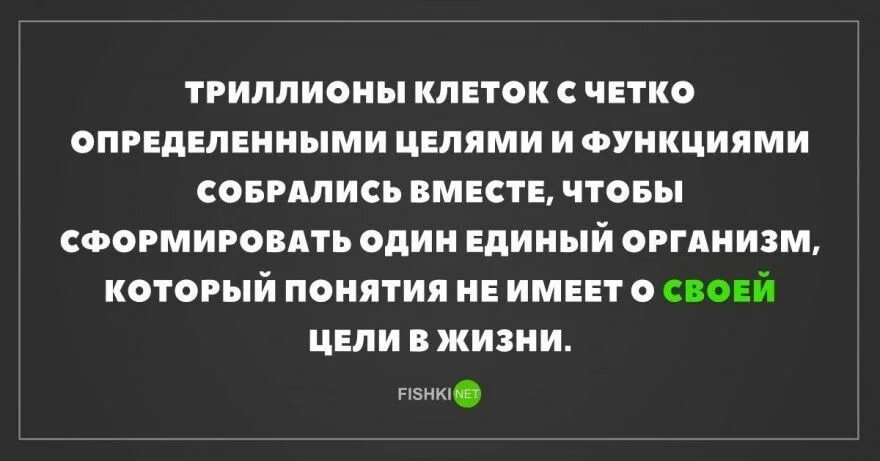 В которых была четко определена