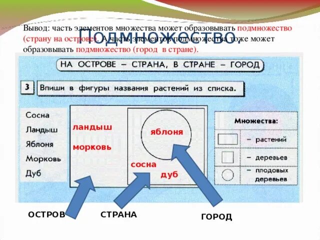 Впиши в фигуры названия растений. Впиши в фигуры названия растений из списка. Впиши в фигуры названия растений из списка Информатика. На острове Страна в стране город Информатика 3.