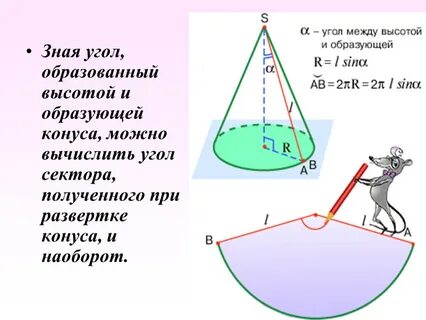 Центральный угол развертки