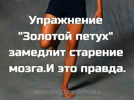 Польза золотого петуха
