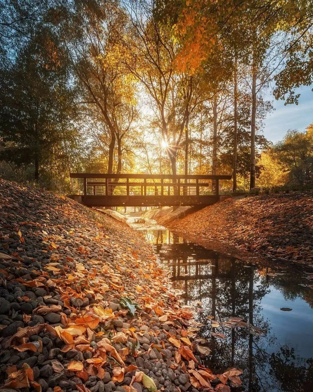 Природа в городе воронеж. Осень в воронеже. Парк воронеж схи осень. Воронеж солнце осень. Поселок рыбачий воронежская область.