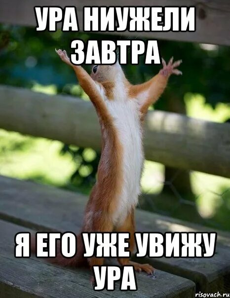 Ждем завтра картинки