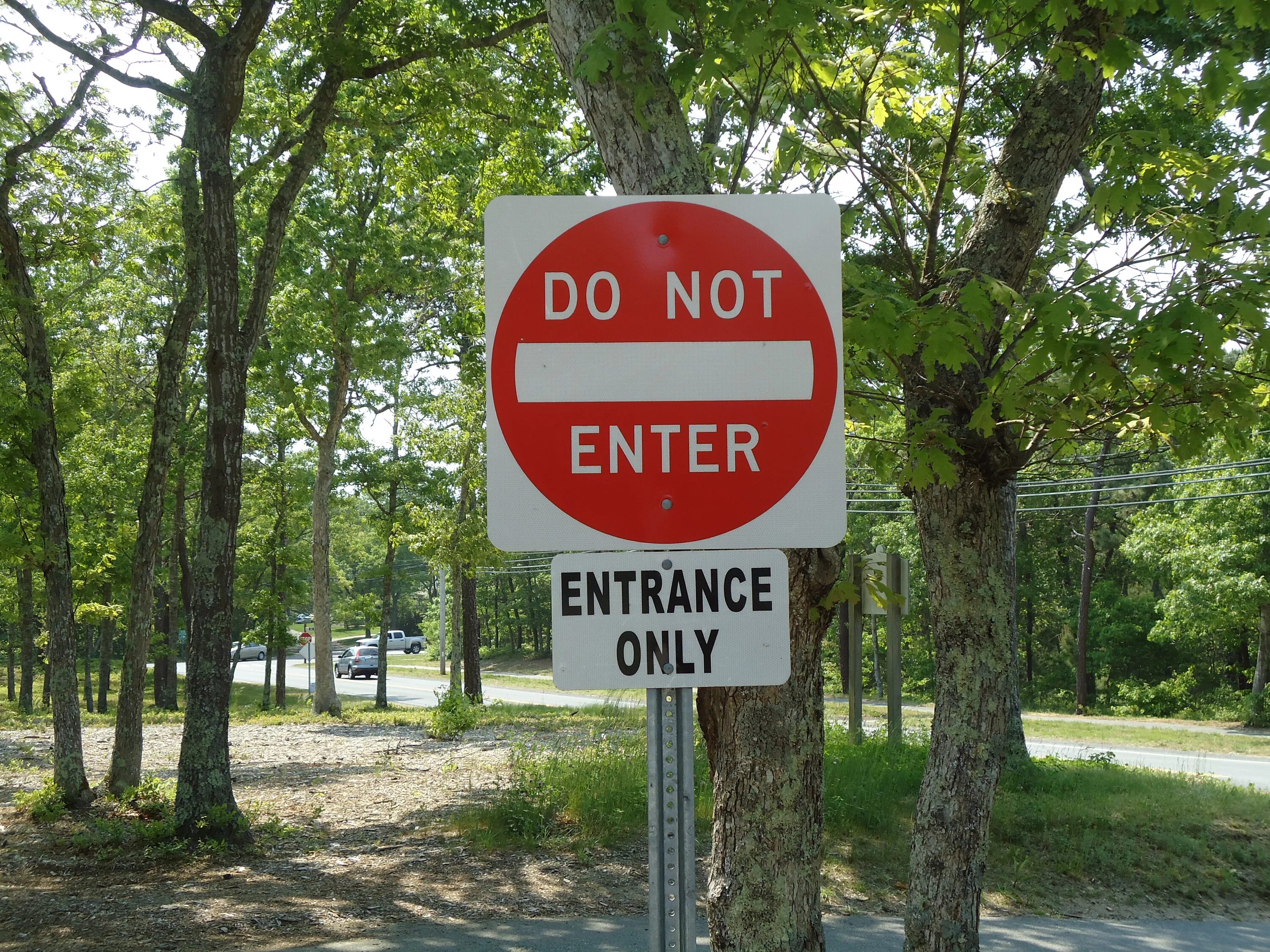 Do not share this. Do not enter знак. дорожный знак дерево. enter sign. американские дорожные знаки do not enter.