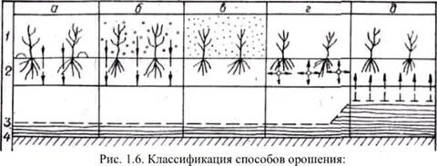 Перечислите виды орошения