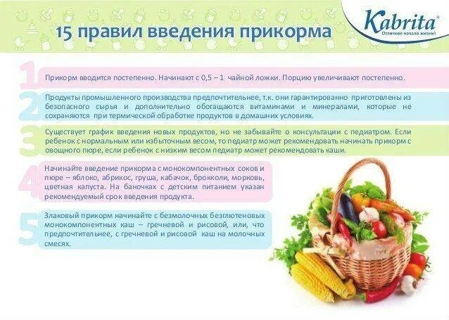 Сколько раз прикорм в 6 месяцев. Памятка по введению прикорма. порядок введения прикорма по месяцам. правила введения прикорма схема. порядок ввода прикорма с 5 месяцев.