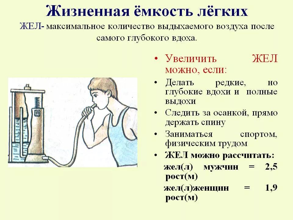 Увеличение жизненной емкости легких