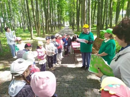 Квест по экологии