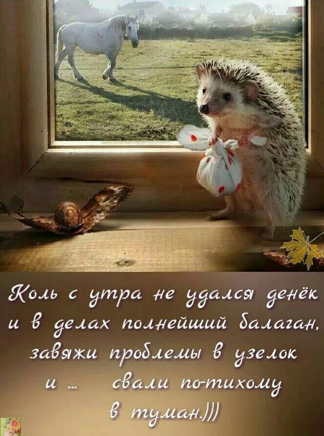 Доброго утра про жизнь