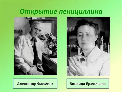 Научное открытие пенициллин