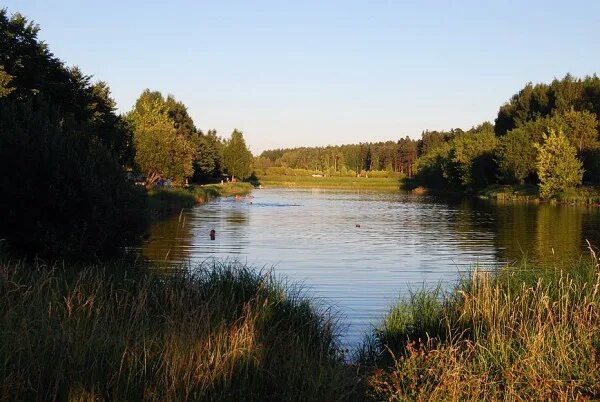 Водоемы костромы. Кострома Берендеевка пруды. Ребровский пруд Кострома. Кострома Погостовский пруд. Нагорный пруд Кострома.