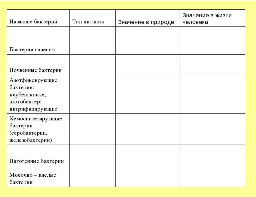 Значение бактерий в природе и жизни человека 5 класс таблица. Значение бактерий таблица 5 класс биология. Таблица по биологииро роль бактерий. Таблица роль бактерий.