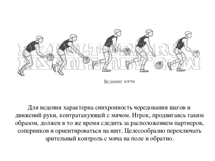 Техника выполнения ведения мяча в движении. Двойное ведение мяча в баскетболе. Ведение мяча в движении в баскетболе. Ведения мяча в движении с изменениями направления в баскетболе. Доклад по физкультуре на тему ведение мяча.
