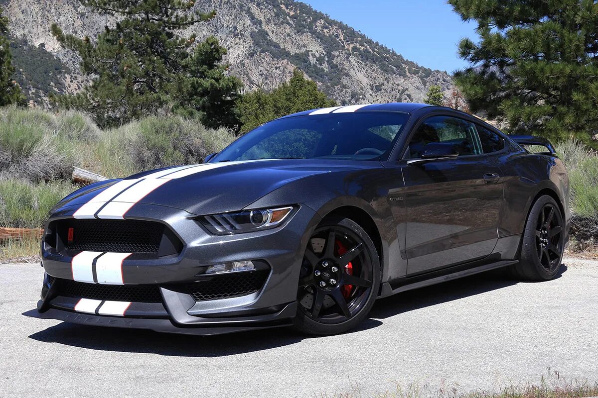 Mustang shelby gt. Ford Mustang Shelby gt350. Форд Мустанг gt 2016. Форд Мустанг ГТ 350. Ford Mustang gt350 2016.