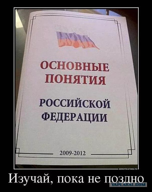 Надо жить по понятиям. Прикол понятия. Картинки по понятиям. Приколы по понятиям. Смешные картинки с терминами.