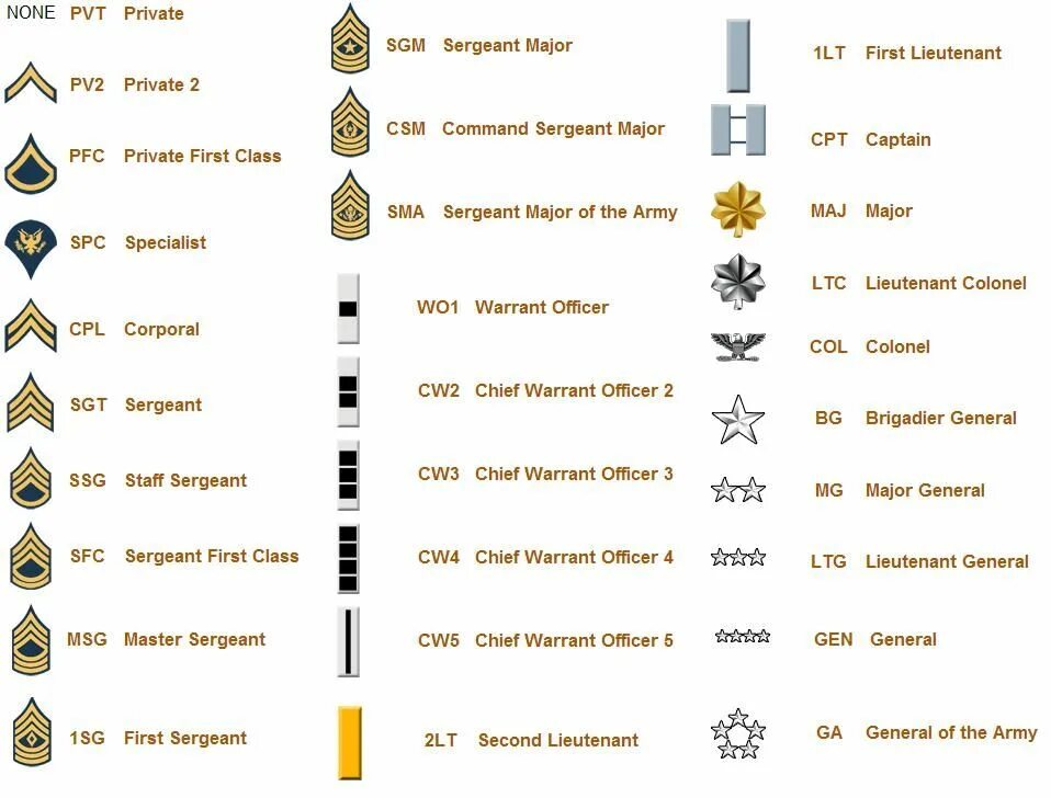 Type ranks. Звания в армии США по порядку на английском. Воинские звания армии США. Система воинских званий в армии США. Ранги в армии США.