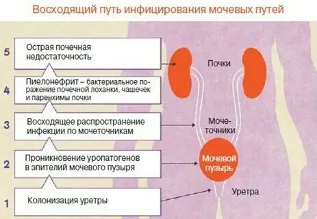 Почему после полового акта неприятный запах