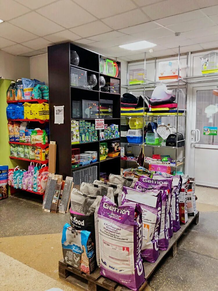 зоомагазин белгород хамелеон. зоомагазин. зоомагазин белгород харьгора. зоомагазин хамелеон ново. хамелеон в зоомагазине.