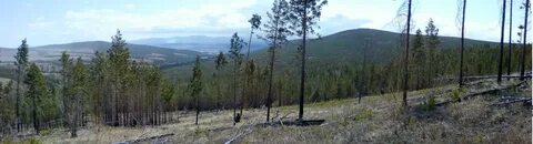 Хада трек 5 поселок верхняя березовка фото