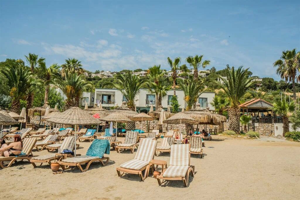 Costa 3s Beach Hotel 4*. Costa 3s Hotel Bodrum. No 61 Бодрум Hotel. 3s Beach Hotel Bodrum — all inclusive 4*. Бич коста