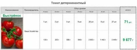 3 кг помидор сколько литров