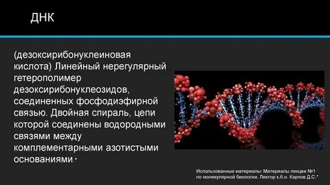 Нерегулярные люди