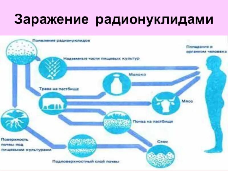 Что такое радионуклиды. Радионуклиды как выглядят. естественные радионуклиды. природные радионуклиды. что такое радионуклиды кратко.