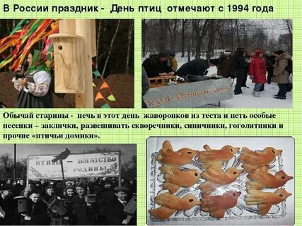 Обычаи птиц